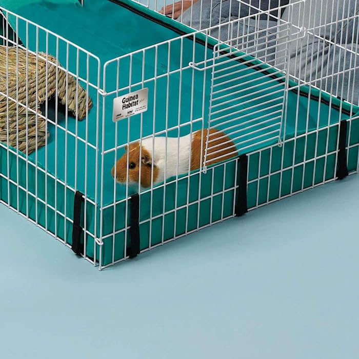 Ferret.Com Midwest Guinea Habitat
